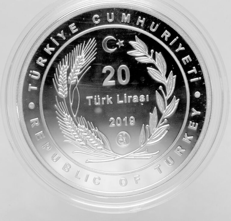 TOROS KURBAGA 2019 DARPHANE PARASI GÜMÜŞ SERTIFIKALI - Görsel 2