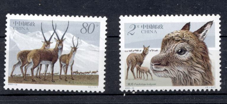 Çin Halk Cumhuriyeti China Lama temalı 2003-12 Mint **MNH