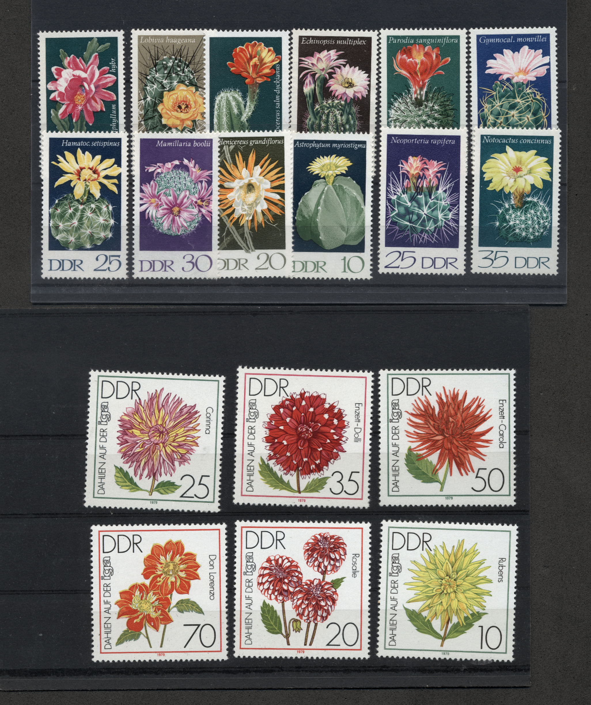 D.D.R. Kaktüs çiçekleri ve çiçekler serisi Mint **MNH SATILDI - OUT OF STOCK SATILDI - OUT OF STOCK SATILDI - OUT OF STOCK