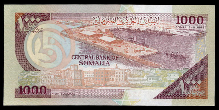 SOMALIA 500 Shillin Soomaali 1996 Pick # 37b - UNC - Görsel 2