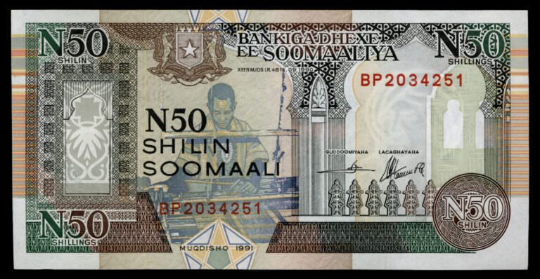 SOMALIA 50 Shillin Soomaali 1993 - UNC