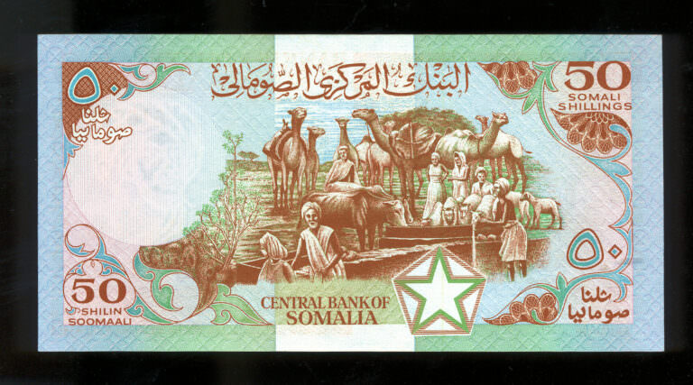 SOMALIA 50 Shillin Soomaali 1983 Pick # 34a - UNC - Görsel 2