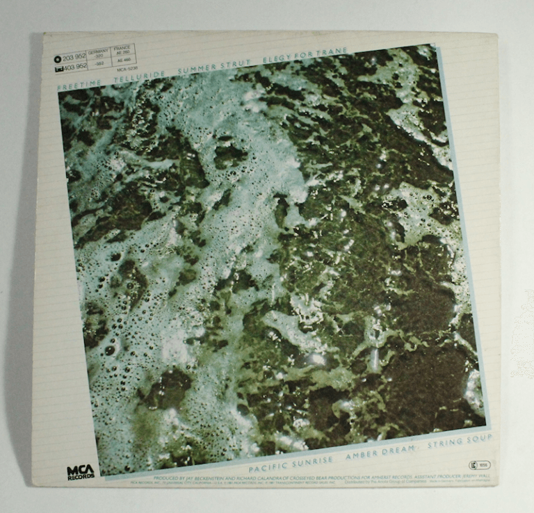 SPYRO GYRA Freetime MCA Records Printed in Germany Plak 7 / Kapak 7 - Görsel 2
