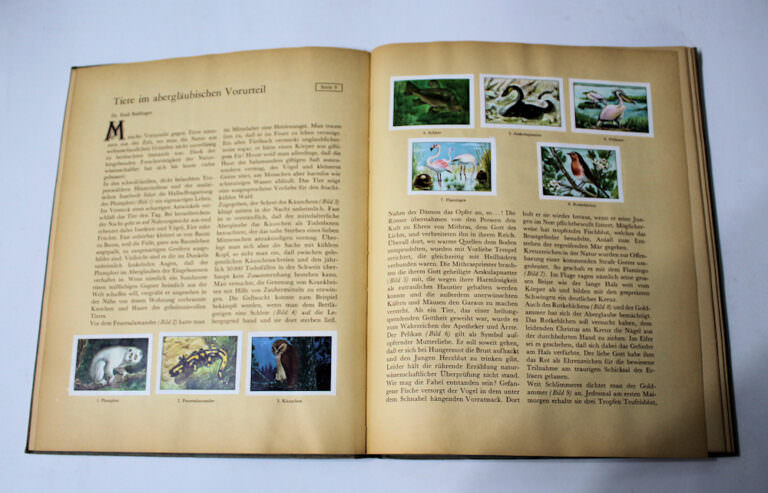 Nestlé Peter Cailler Kohler Sammelbilder Album - DIE NATUR *Vollständig (in Deutsch) - Görsel 5