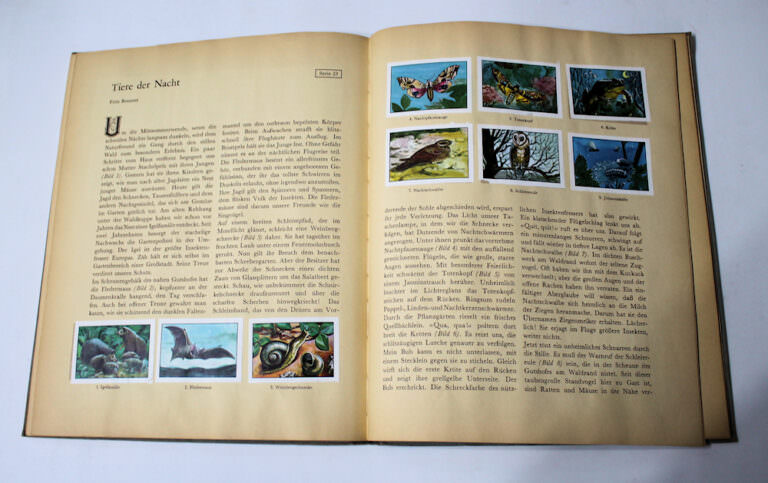 Nestlé Peter Cailler Kohler Sammelbilder Album - DIE NATUR *Vollständig (in Deutsch) - Görsel 4