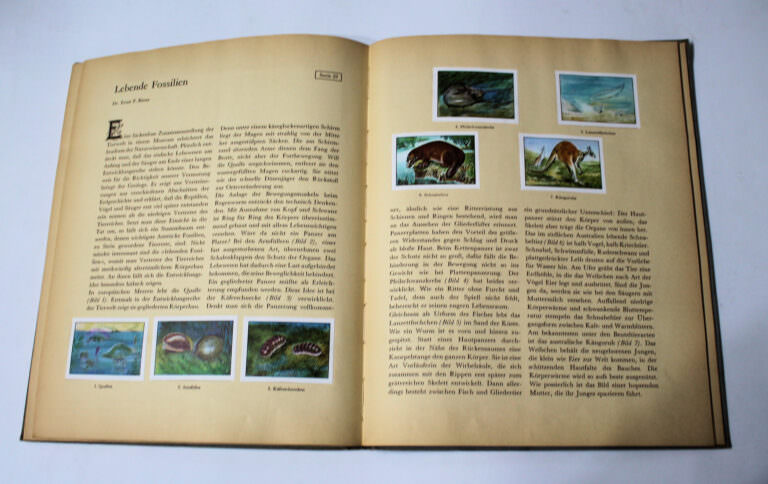 Nestlé Peter Cailler Kohler Sammelbilder Album - DIE NATUR *Vollständig (in Deutsch) - Görsel 2