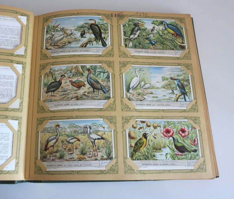 LIEBIG Sammelbilder Album *1990`s Made in Italy) - Görsel 3
