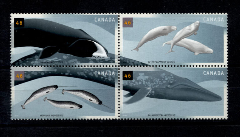 KANADA Balinalar Serisi BLOCK Mint **MNH SATILDI - OUT OF STOCK SATILDI - OUT OF STOCK SATILDI - OUT OF STOCK