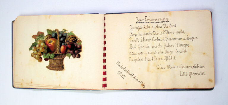 Glanzbilder Album aus 1939 (es gibt noch mehrere Seiten) - Görsel 2