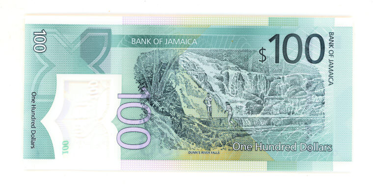 Jamaika 100 Dolar 2022 Polymer ÇİL banknot - Görsel 2