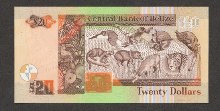 Belize 20 Dolar 2020 ÇİL banknot - Görsel 2