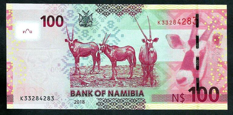 Namibia 100 Dollars 2018 Pick-14b UNC - çil banknot