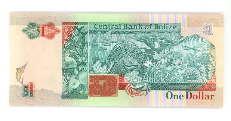 BELIZE 1 Dollar 1990 Pick#51 Kraliçe UNC / ÇİL KONDİSYON BANKNOT