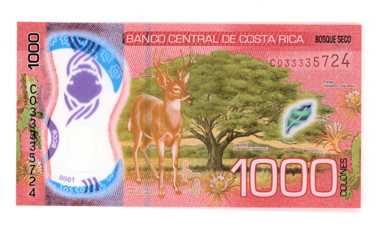 KOSTA RİCA 2019 YILI POLYMER 1 MİL ( 1000 COLONES ) / UNC - ÇİL banknot