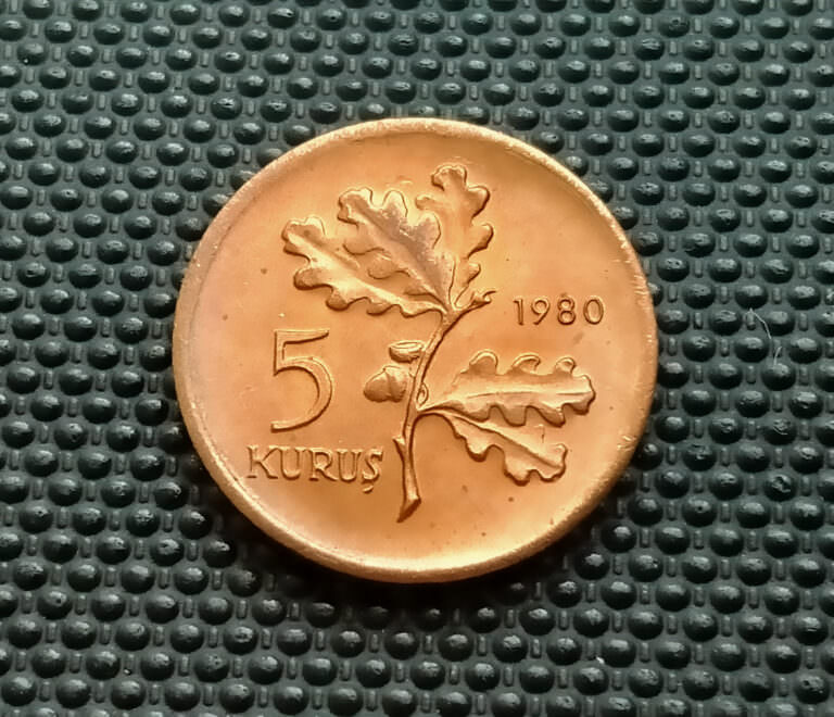 1980 YILI KALKINMA İÇİN BALIKÇILIK HATIRA 5 KURUŞ ÇİL *SATILDI - STOKTA YOK - Görsel 2