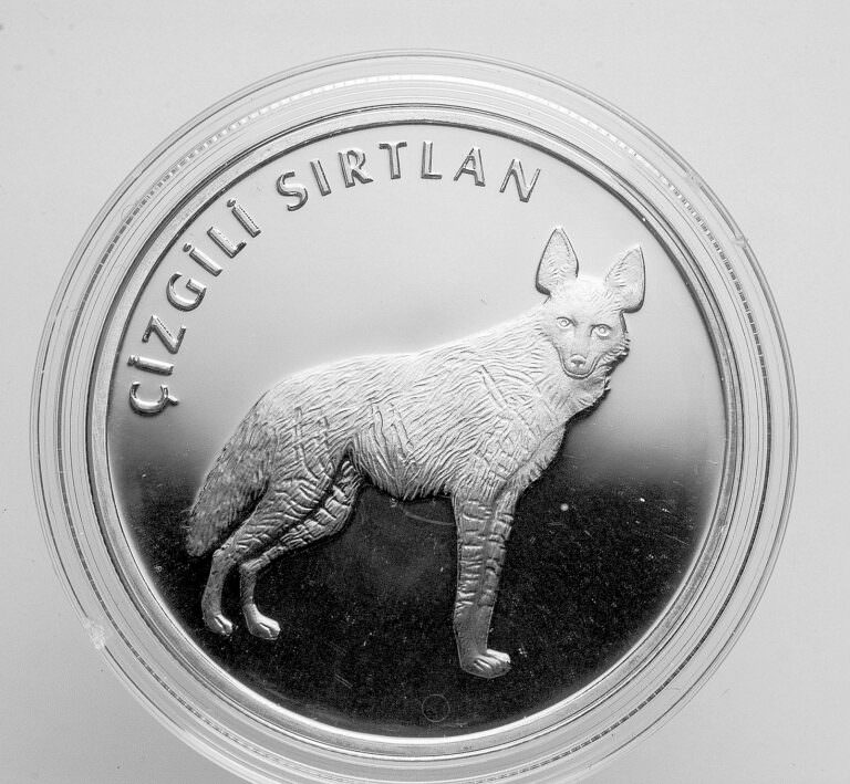 Türkiye nin hayvanları SIRTLAN 38.61 mm. Gümüş Sertifikalı hatıra parası