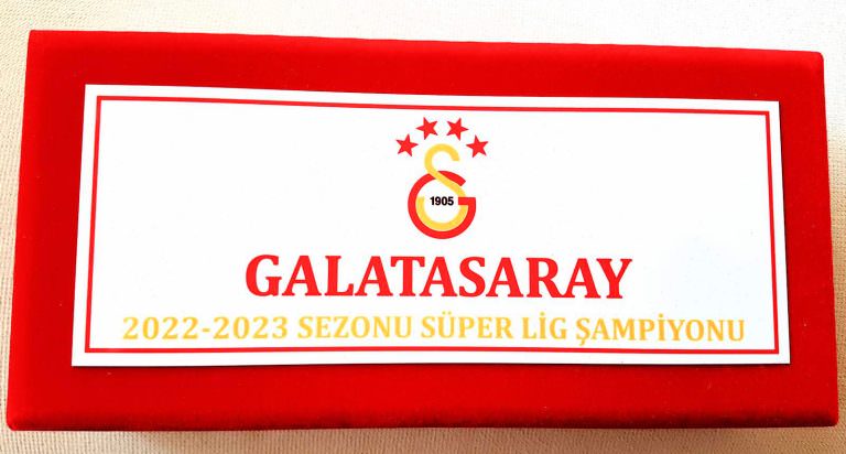 2023 YILI GALATASARAY ŞAMPİYONLUK DARPHANE HATIRA 2 adet GÜMÜŞ + BRONZ HATIRA PARA SETİ
