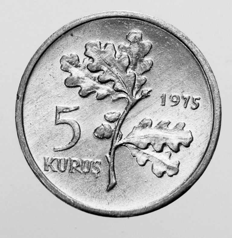 5 Kuruş 1975 Hatıra aile planlamasi FAO *Aliminyum - Görsel 2