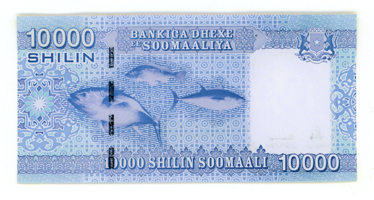 SOMALIA Somali 10000 Shilling 2010 Pick # 41 UNC - çil - Görsel 2