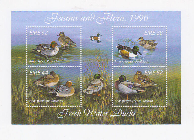 IRELAND Fresh Water Ducks 1996 Block Mint **MNH