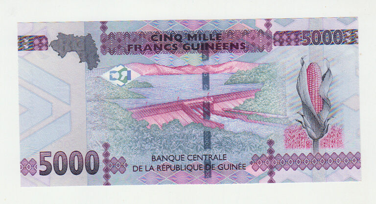 Guineé 5000 Francs UNC - Görsel 2