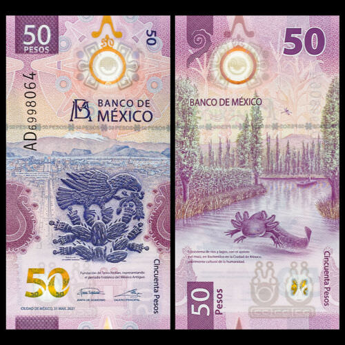 Meksika 50 Peso 2021 Polymer ÇİL banknot koleksiyon