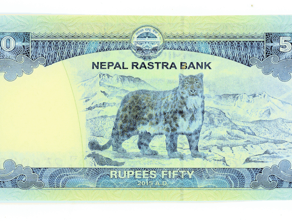 NEPAL RASTRA BANK 50 Rupees 2015 - UNC