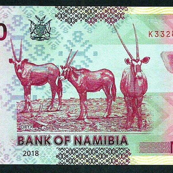 Namibia 100 Dollars 2018 Pick-14b UNC - çil banknot