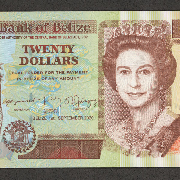 Belize 20 Dolar 2020 ÇİL banknot