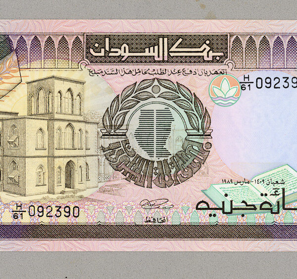 SUDAN 100 Pounds 1989 Pick # 44b - UNC *çil
