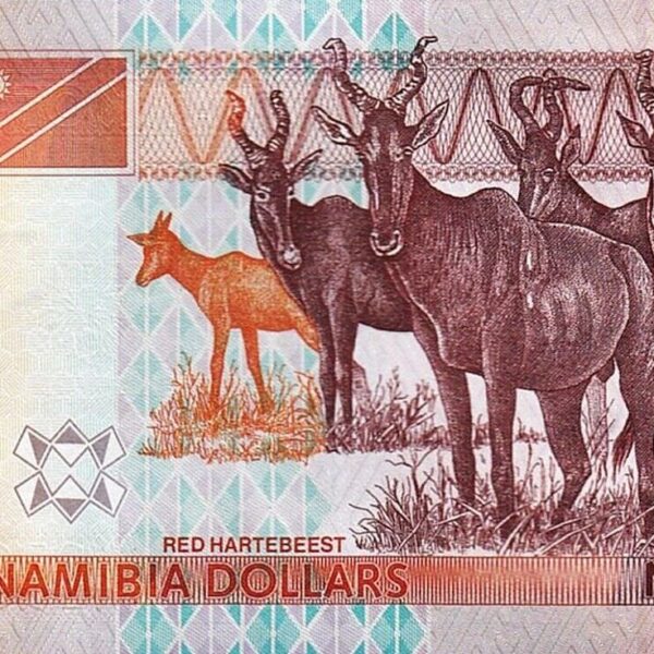 Namibia 20 Dollars 2002, UNC, P-6 UNC