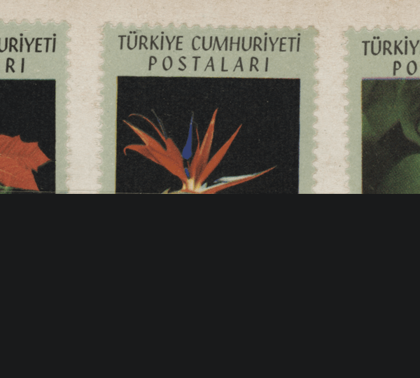 1962 çicek serisi **MNH Mint