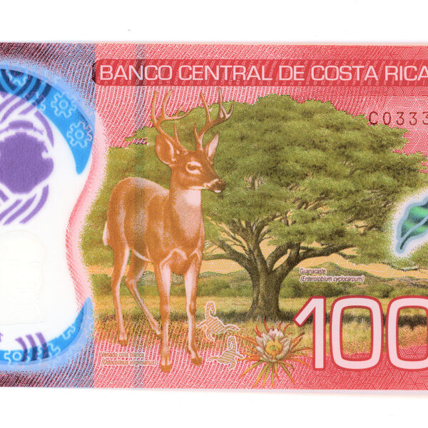 KOSTA RİCA 2019 YILI POLYMER 1 MİL ( 1000 COLONES ) / UNC - ÇİL banknot