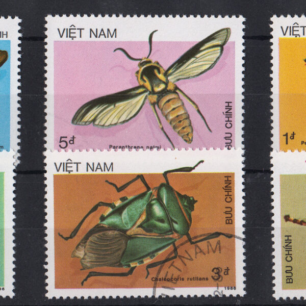 VIET NAM Böcekler serisi