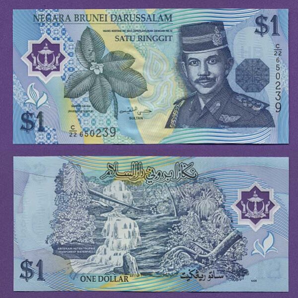 Brunei 1 $ Polymer UNC