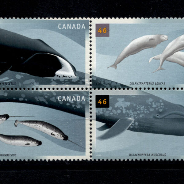 KANADA Balinalar Serisi BLOCK Mint **MNH SATILDI - OUT OF STOCK SATILDI - OUT OF STOCK SATILDI - OUT OF STOCK
