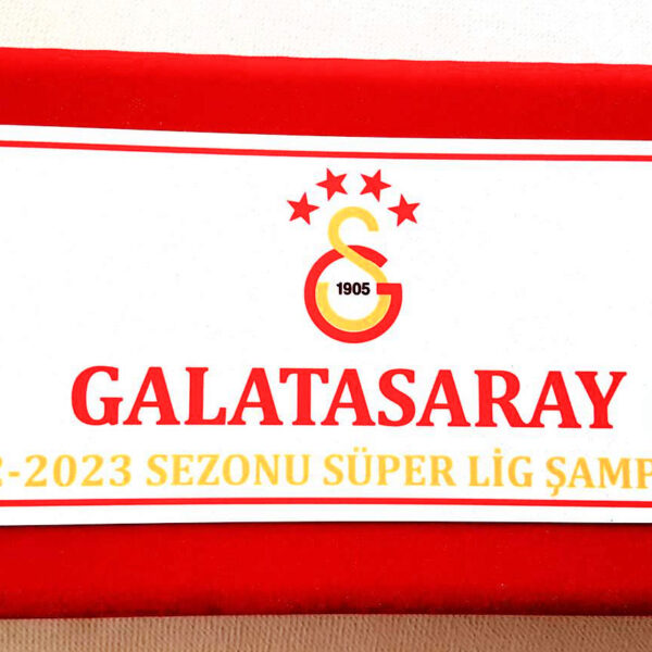 2023 YILI GALATASARAY ŞAMPİYONLUK DARPHANE HATIRA 2 adet GÜMÜŞ + BRONZ HATIRA PARA SETİ