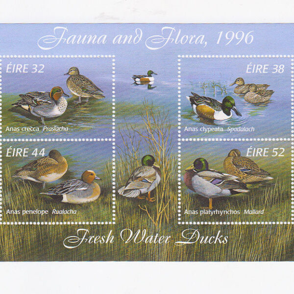 IRELAND Fresh Water Ducks 1996 Block Mint **MNH
