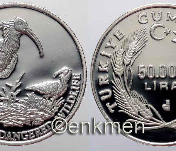 50 000 Lira Kelaynak Kuşu Darphane Hatıra Parası