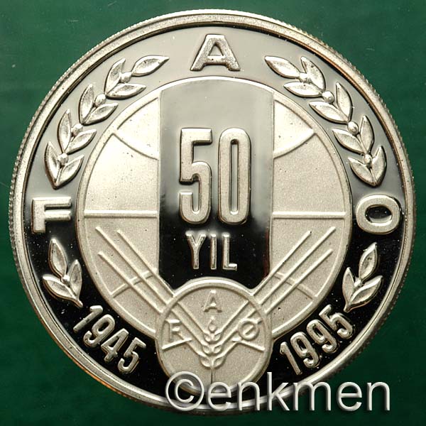 FAO`nun 10. YILI 50 000 Lira 1995 SERTIFIKASIZ GÜMÜS