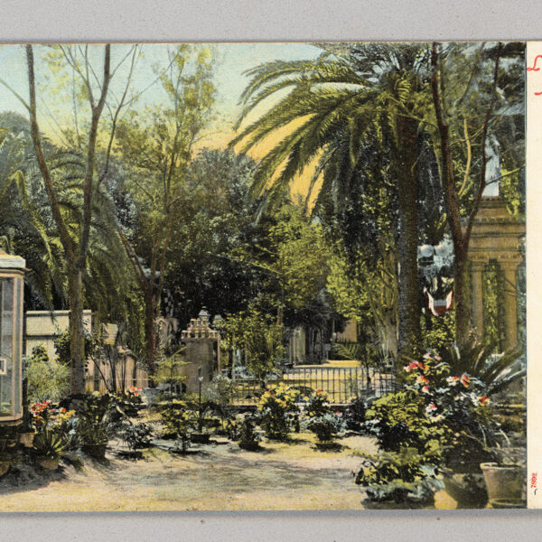 GRAN CANARIA Alameda *unused postcard - Spain Espana