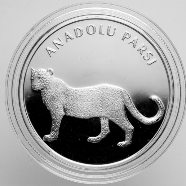 Türkiye nin hayvanları Anadolu Parsı 38.61 mm. Gümüş Sertifikalı hatıra parası