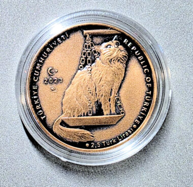 Nasrettin Hoca - TARTI - Masal kahramanları serisi no.8 Bronz hatıra parası sertifikalı