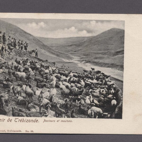 TREBIZONDE TRABZON Yaylalar Osmanlı zamanı un-used Ottoman Postcard