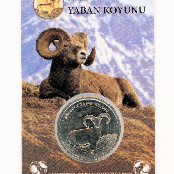 z 1 Lira Anadolu Yaban Koyunu özel kapama "1 adet