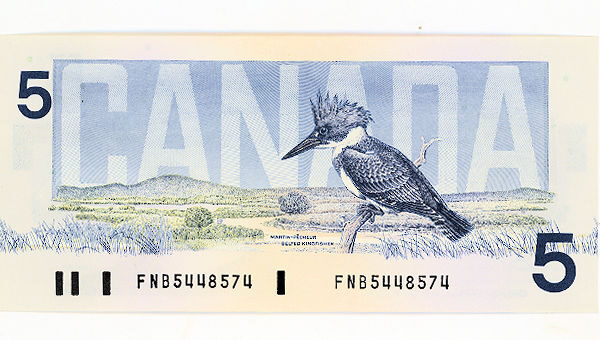 CANADA Kanada 5 dolar 1986 - ÇİL - UNC