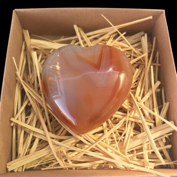 Özel kesim kayaç (Akik taşı )