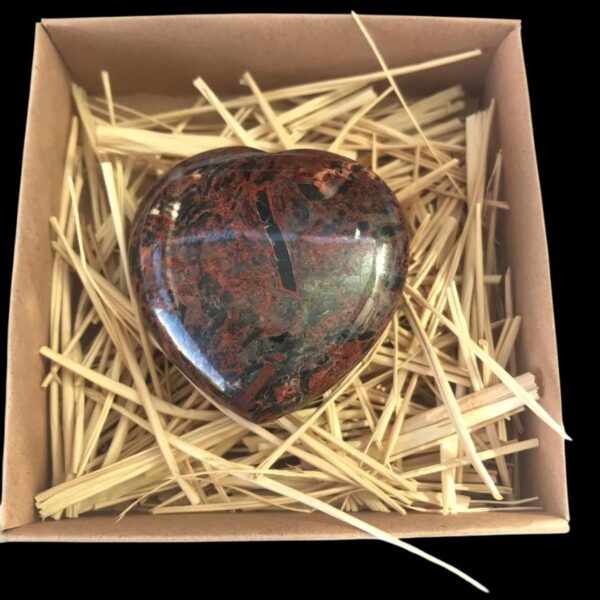 Özel kesim kayaç (Fosil jasper )