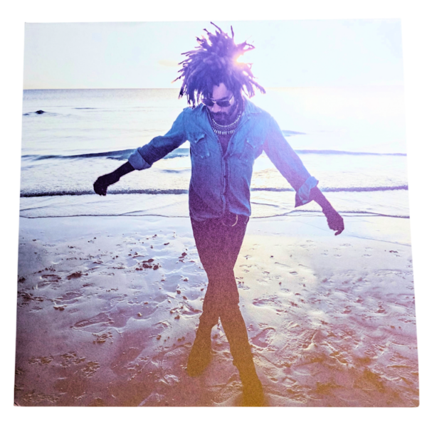 LENNY KRAWITZ Black and White America 2018 Double LP Printed in Germany 8/8