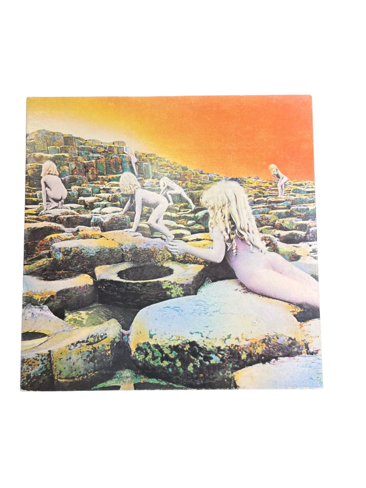 WhatsApp Image 2026-01-04 at 16.47.46 (2)